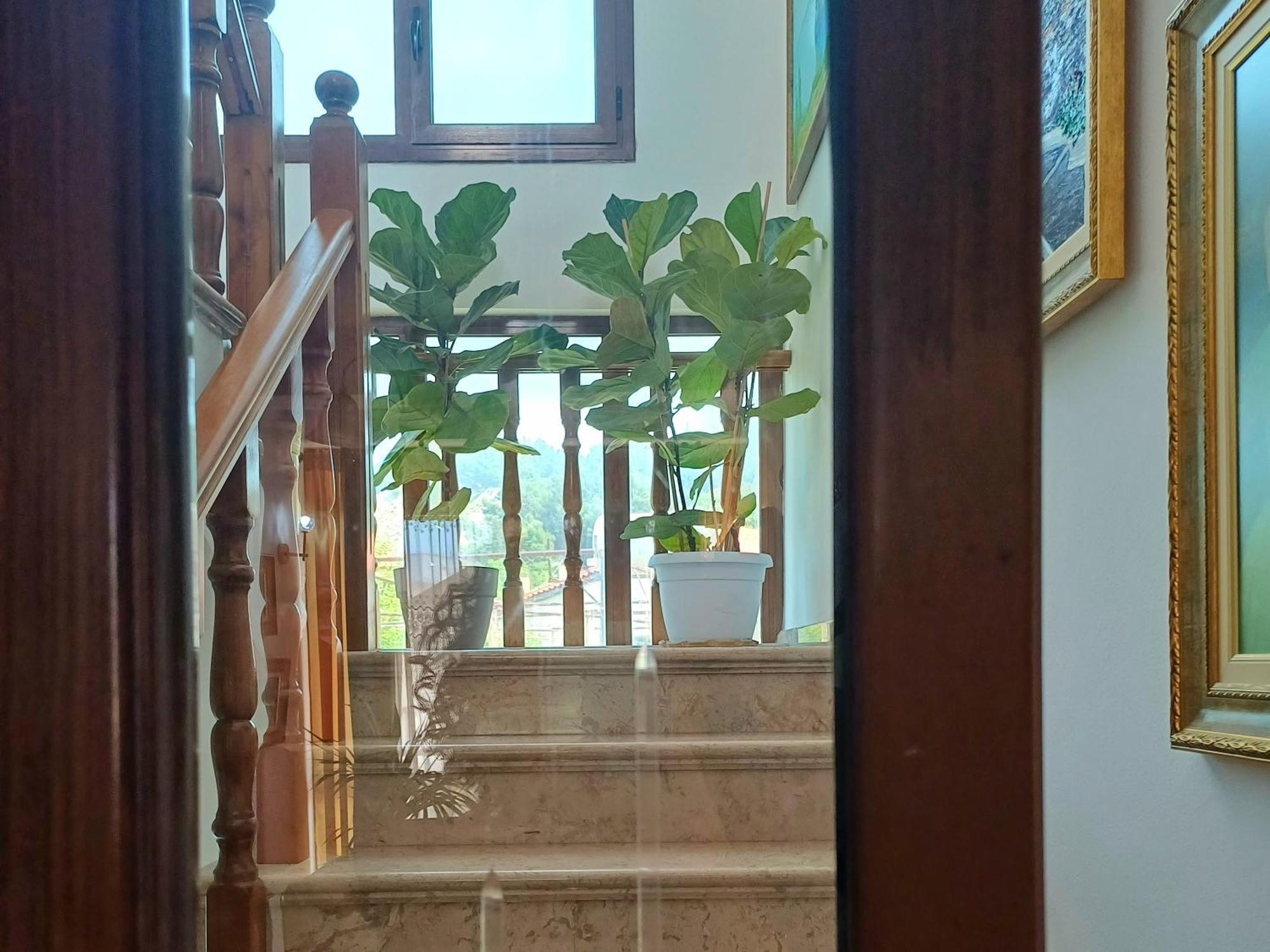 Guest Near Historical Center Gasthof